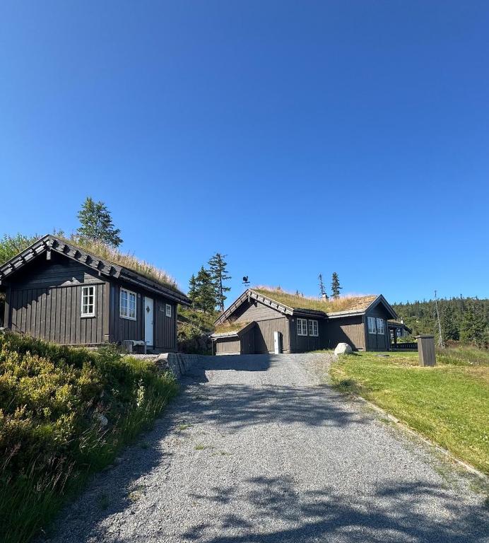 Vikerfjell i Ringerike, Oslos nærmeste høyfjell - B&B Hønefoss