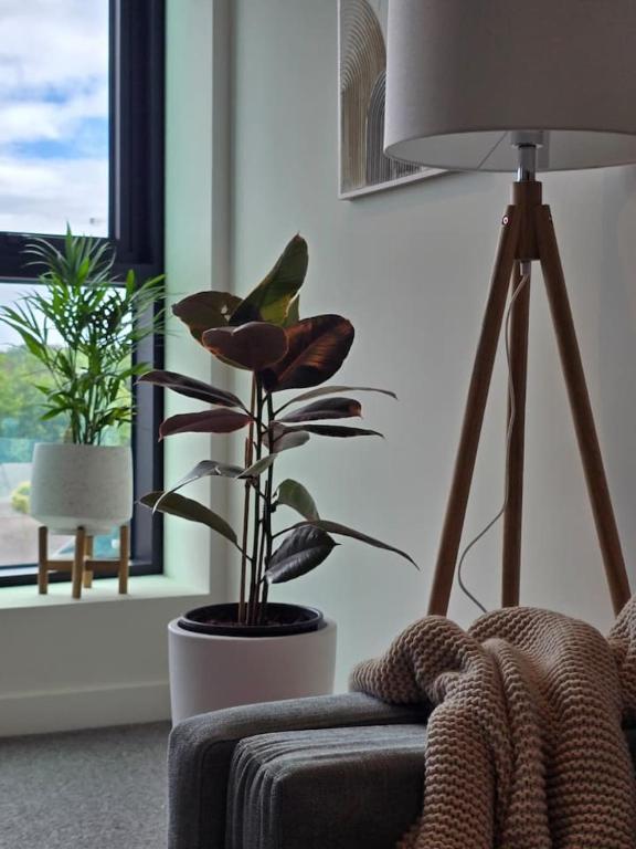 Modern 1BR with covered Balcony I Alphington I Fast WiFi I Free Parking I Walking to Alphington Train Station I Minutes to Melbourne CBD - B&B Melbourne