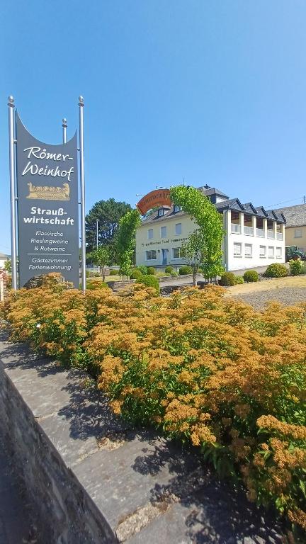 Ferienwohnung Römerweinhof - Ferienwohnung Neumagen-Dhron