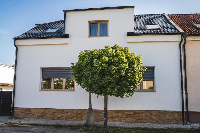 Vila Palachovka - apartmány se zahradou - B&B Poděbrady