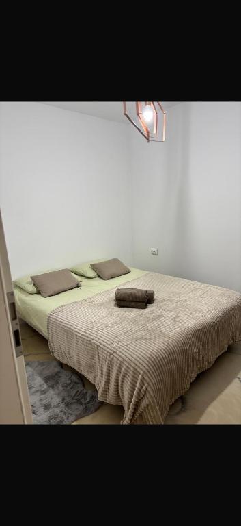 Amethyst Avram Iancu 460e - B&B Floreşti