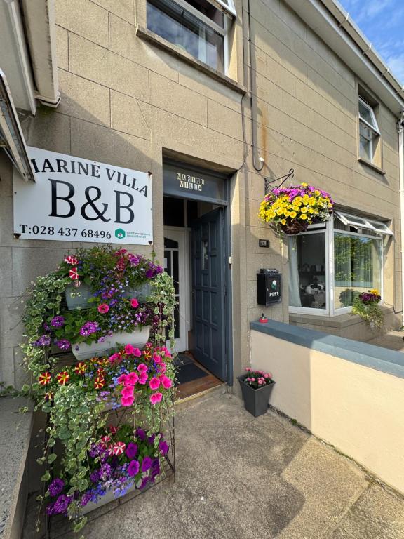Marine Villa B&B - B&B Annalong