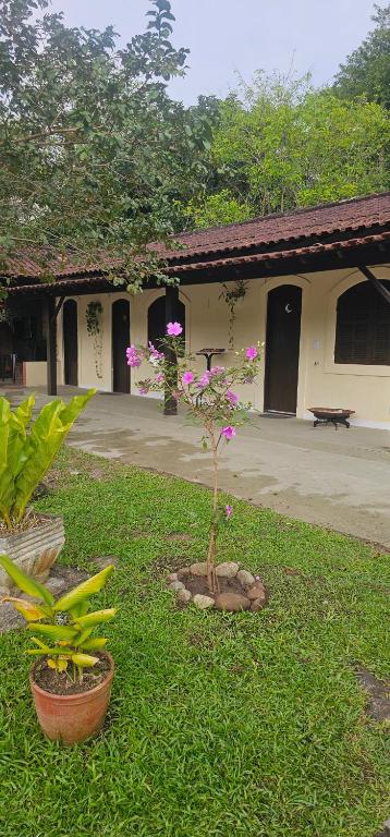 Pousada Paraíso Guapi - Ferienwohnung Guapimirim