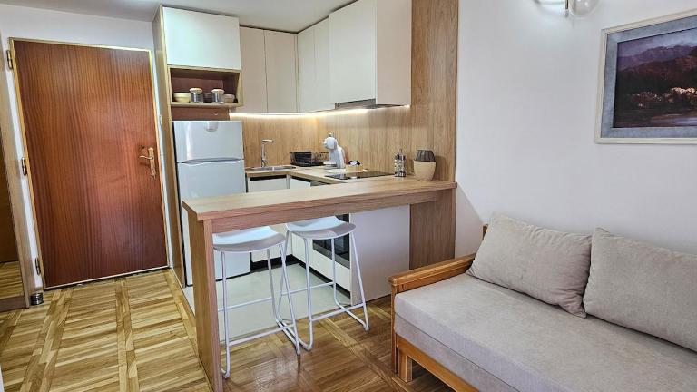 Central Heart Apartment - Bed and Breakfast Podgorica