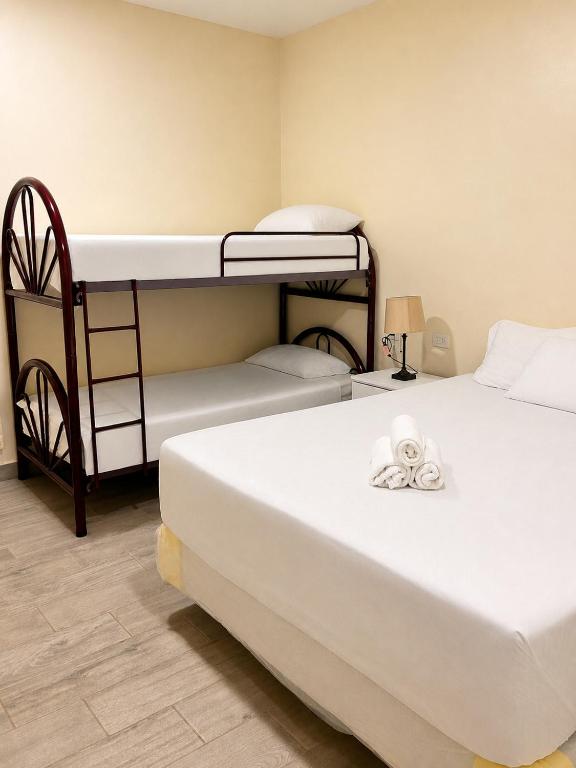 Palma Verde Suite AC y Comfort - Chambres d'hôtes Tacualuya