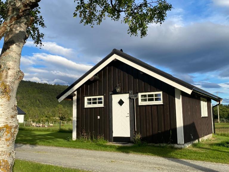 Tørresvangen - Ferienwohnung Tynset