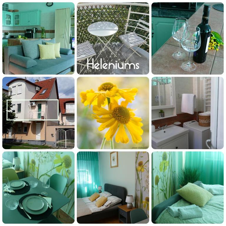 Heleniums Apartment - B&B Hajdúszoboszló