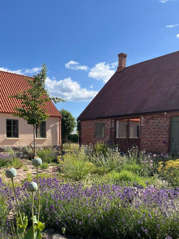 Modern seaside barn - Chambres d'hôtes Borrdy