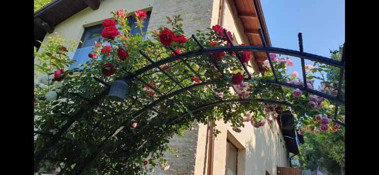 Nature Surrounded 1 Bedroom apartment - B&B Cluj-Napoca