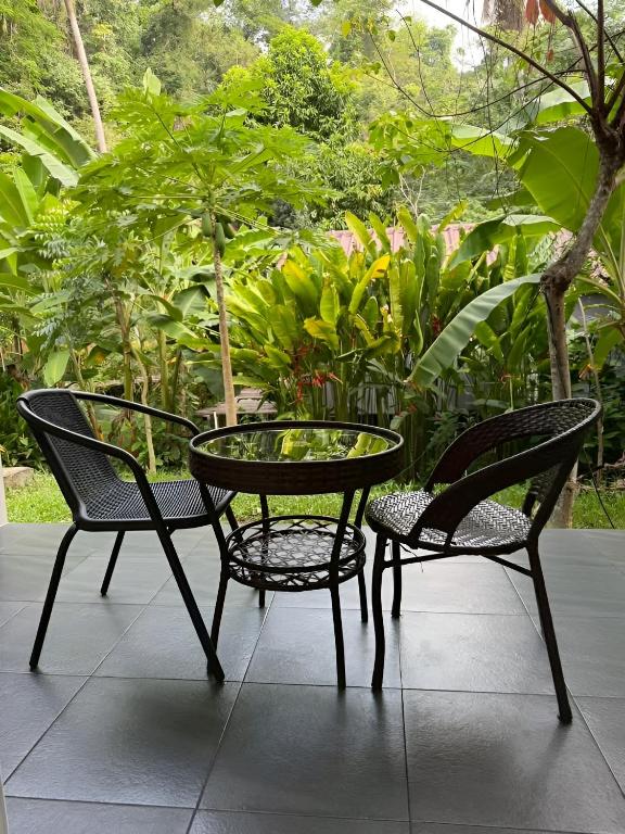 Zerohouse - B&B Ban Bang Bao