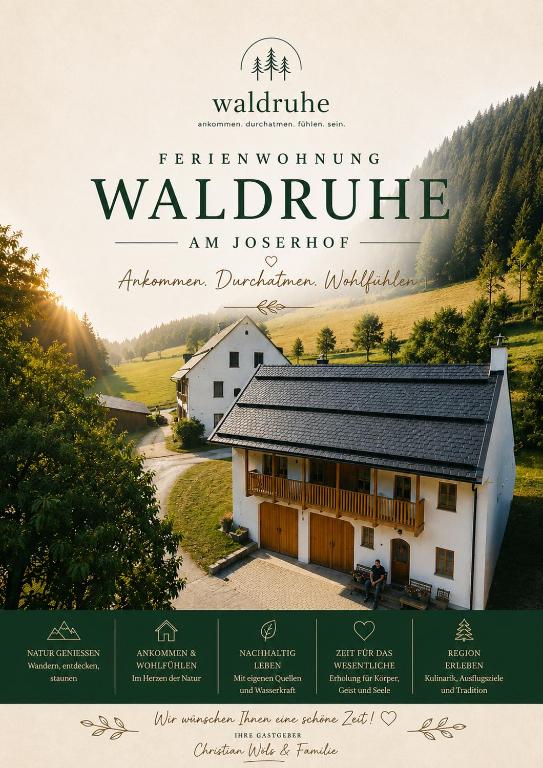 Apartment Waldruhe - B&B Edla