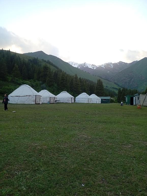 Akylsyurtcamp - B&B Chet-Nura