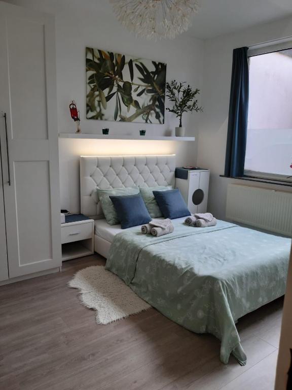 Zen Olive Guest Room - B&B Amberes