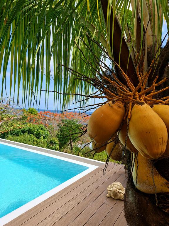 Villa Toc Toc à Bouillante, Guadeloupe - B&B Village