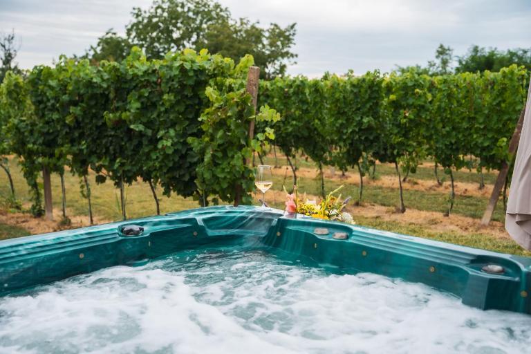 Vikendica Vinogradski Mir, Jacuzzi and Vineyard View - Bed and Breakfast Bačinci