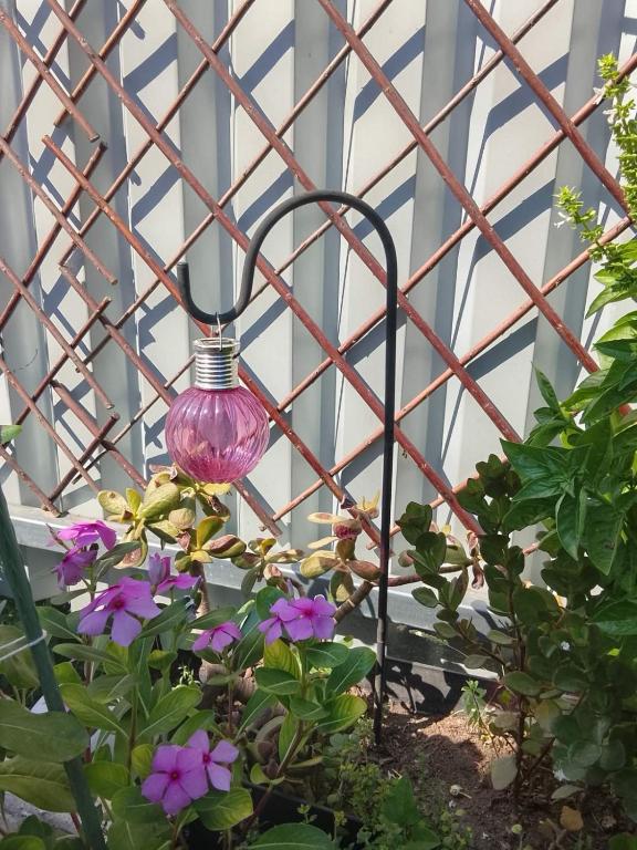 Basic - B&B Kalamata
