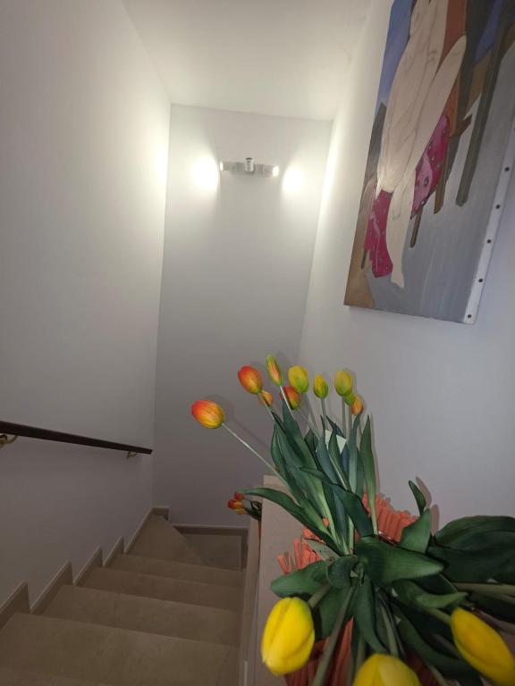 MARE FUORI LUXURY B&b - Bed and Breakfast Cassano delle Murge