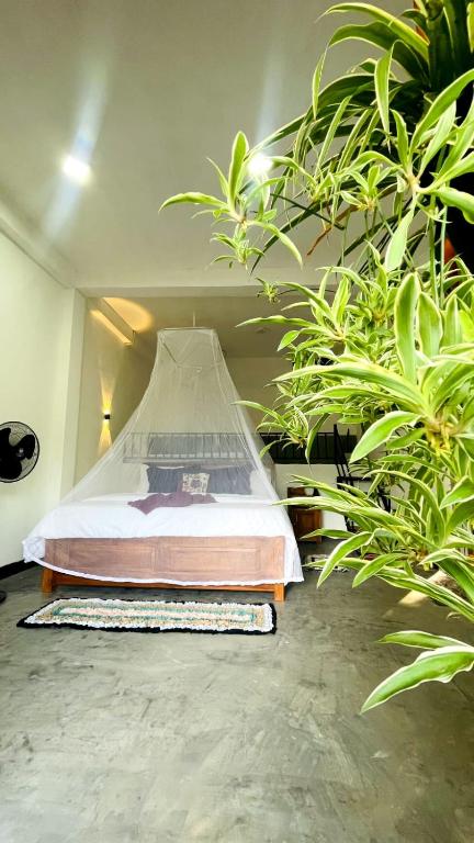 Ella Hermitage View - Bed and Breakfast Ella Town
