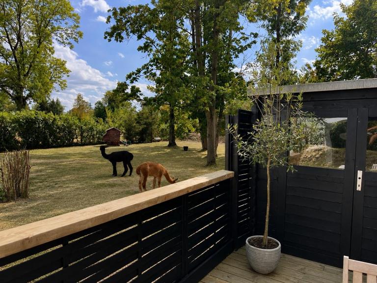 Le Wellness des alpagas - Ferienwohnung Huy