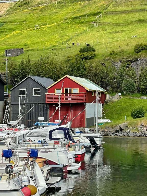 Harbourfront Boathouse Vestmanna Bird Cliffs - B&B Vestmanna