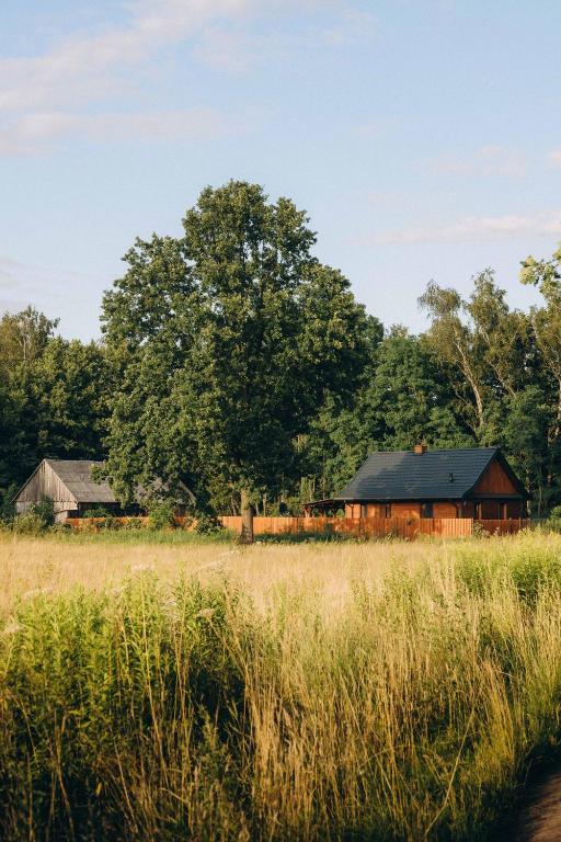 Między łąką a lasem - B&B Żdżar