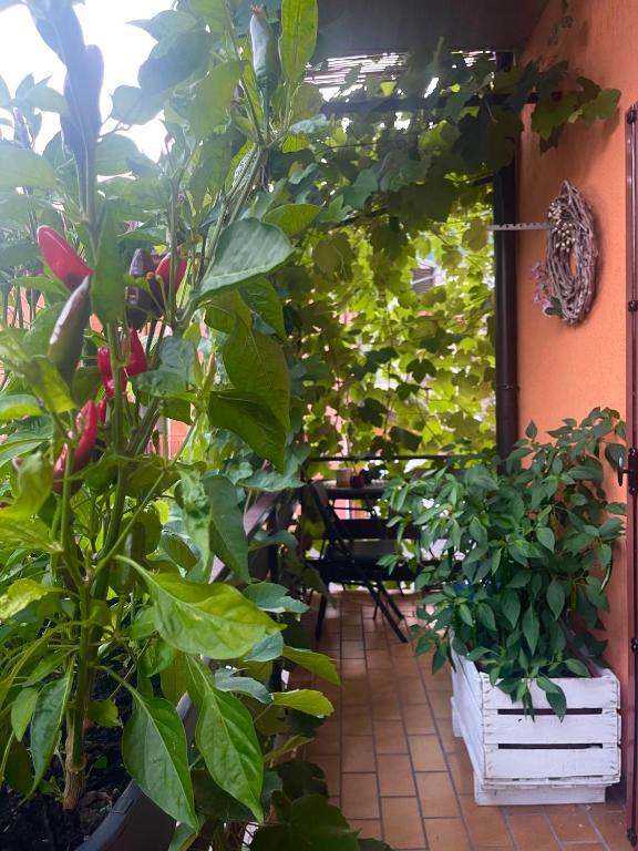 Al Vicolo - Bed and Breakfast Telve