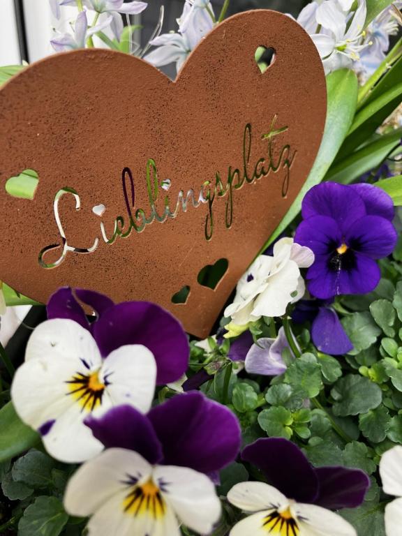 Ferienwohnung Rosi im idyllischen Grün - Ferienwohnung Walkenried