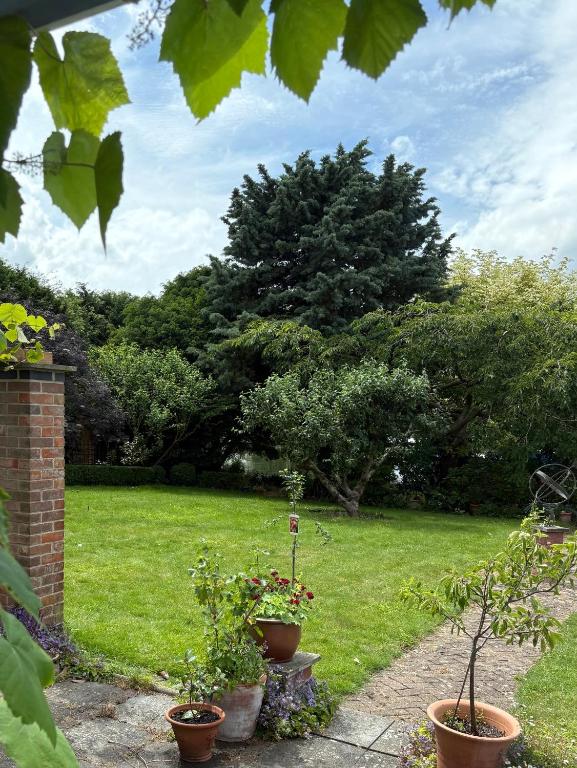 River Garden View - Bed and Breakfast Beccles