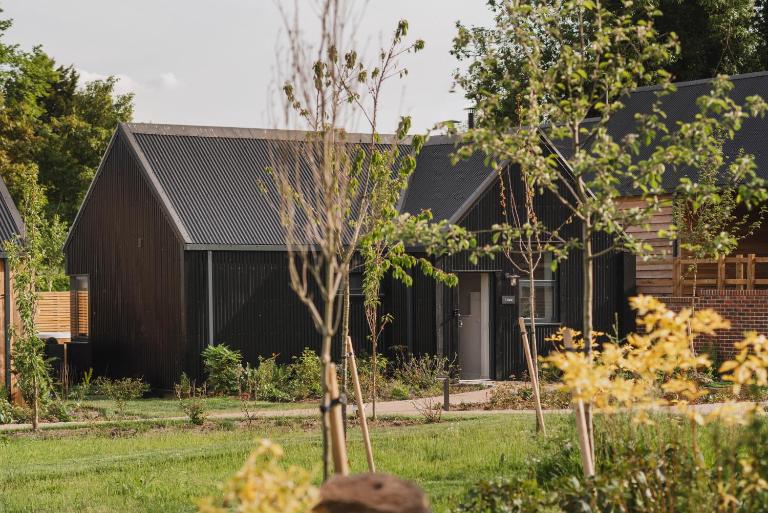 Adam - B&B Marlborough