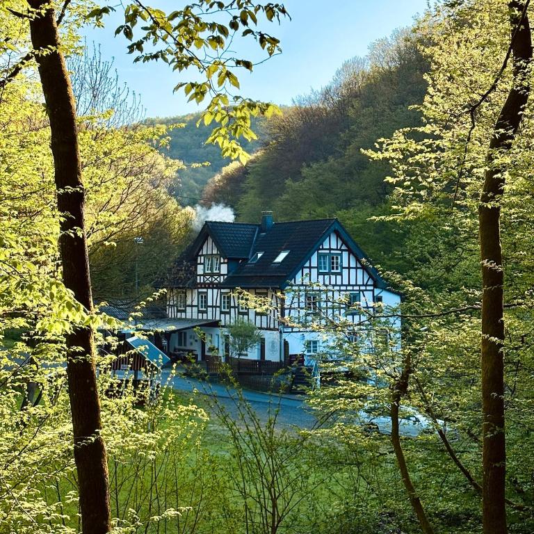 Urlaub in alter Mühle - Natur & Wellness - Bed and Breakfast Neschen