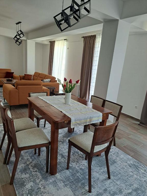 Central Tikveš apartment - B&B Kavadarci