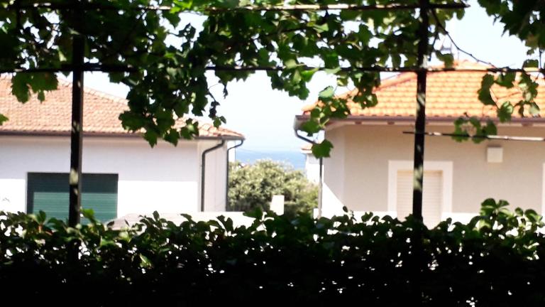 A garden on the bay - Ferienwohnung Castiglioncello