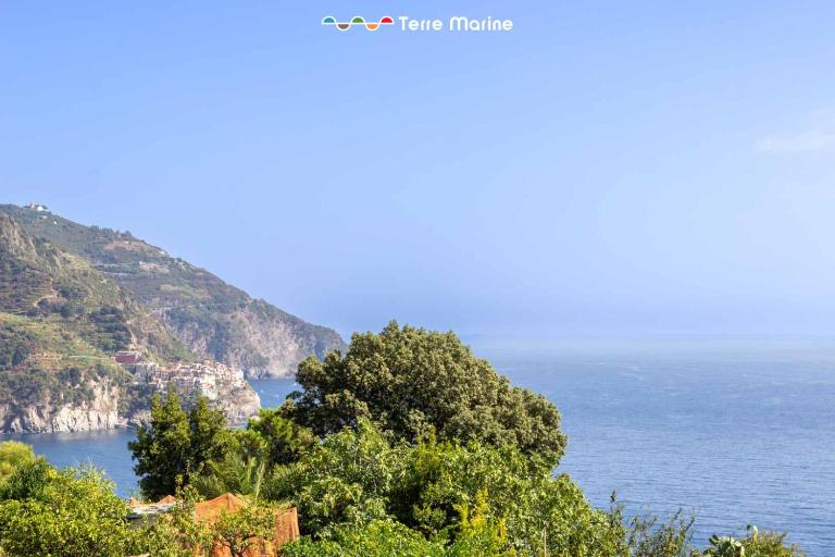 Stone For Life, Terre Marine - B&B Corniglia
