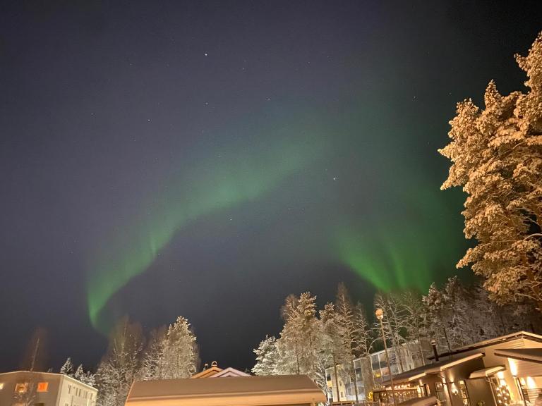 Peaceful house with own SAUNA, FREE PARKING - Chambres d'hôtes Rovaniemi