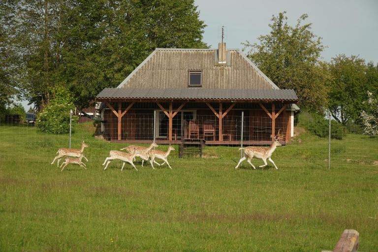 Jaukus Pirties Namelis Vienkiemyje - B&B Šakiniai