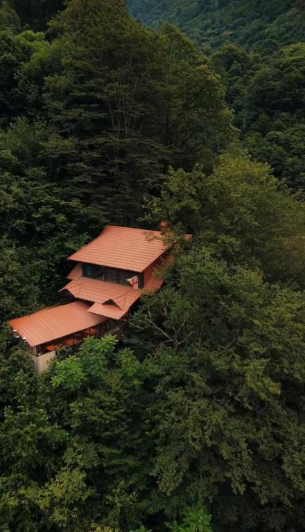 Villa Klarjeti - Chambres d'hôtes K’irnati