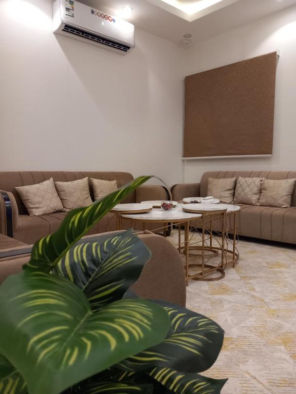 شقق رومكس العلا Rumex alula apartments - Ferienwohnung Al-`Ula