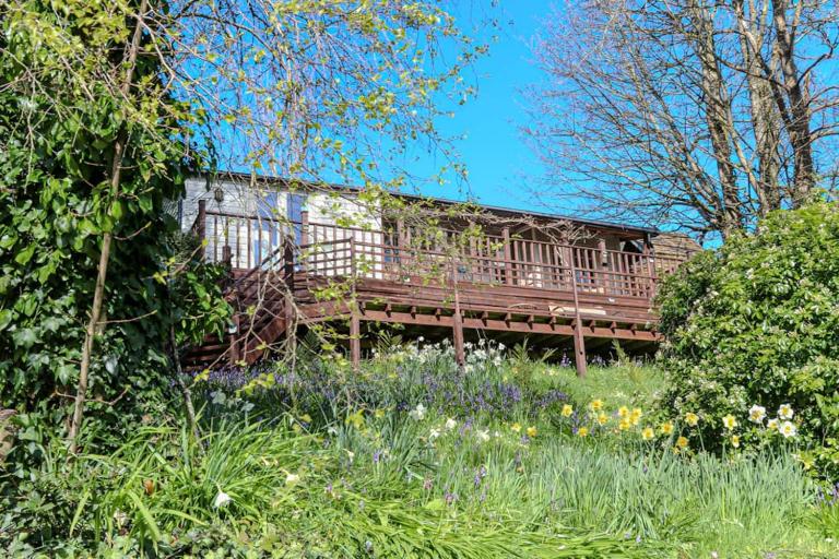 Treetops, a relaxing haven in Bantham South Devon - B&B Bantham