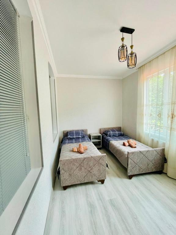 GIGGS house - B&B Borjomi