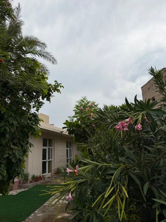 AL- aqyr Rest Garden أستراحة حارة العقر - Chambres d'hôtes Nizwa