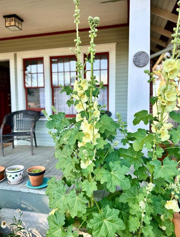 Bungalow with Fenced Yard Near Ferry and National Park - B&B Port Angeles