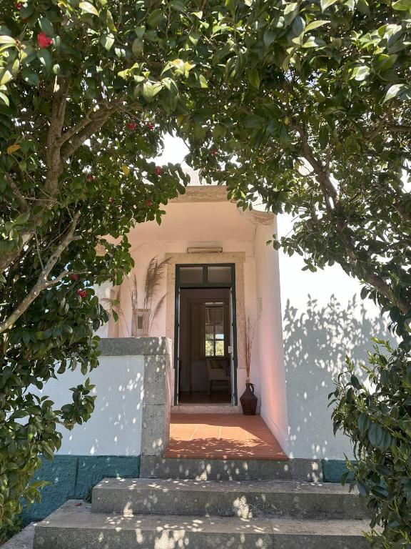 Casa da Vela - B&B Buarcos