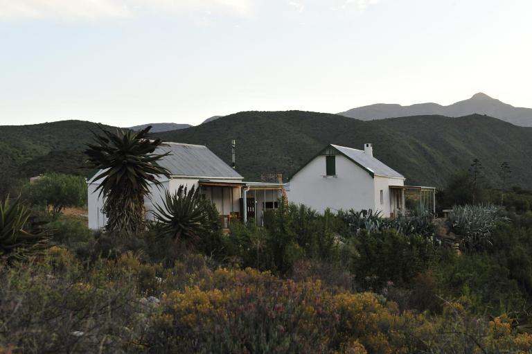 Matjiesvlei Guestfarm - Ferienwohnung Calitzdorp