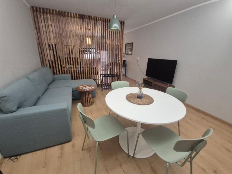 Newly Renovated Elegant Studio next to Messe - B&B Basilea