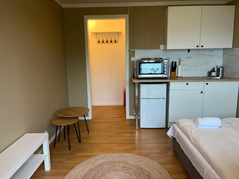 Cozy Studio Apartment - Free Parking & WiFi - Ferienwohnung Voss