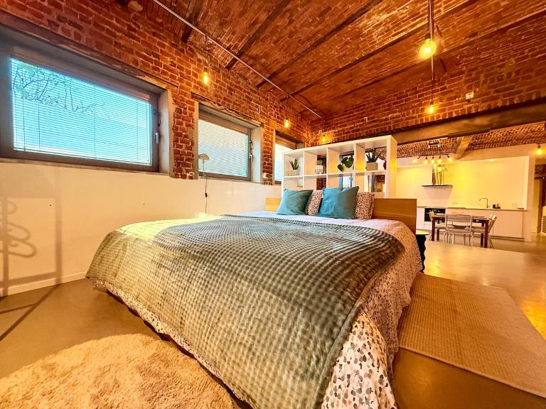 Quiet loft with terrace - B&B Bruselas