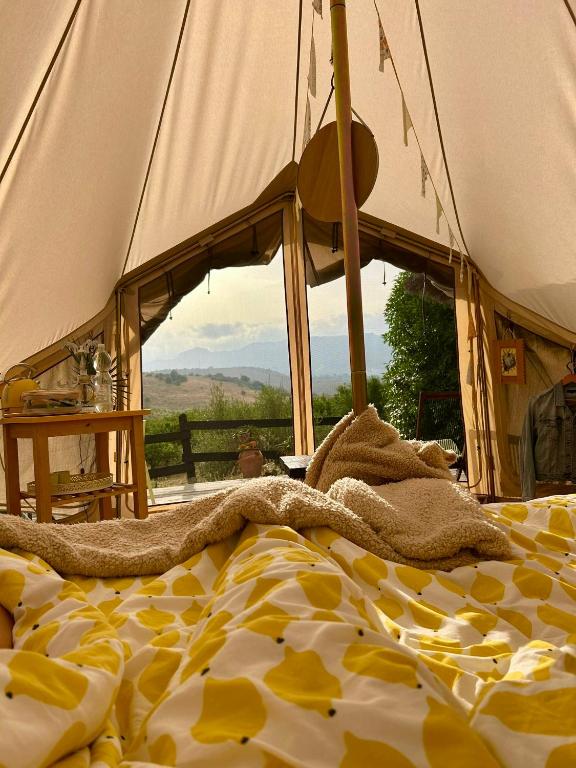 Glamping Bed and Breakfast Finca Alegria de la Vida - B&B Pizarra