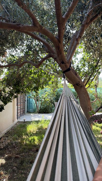 Blossom Apartments - Ferienwohnung Vlora