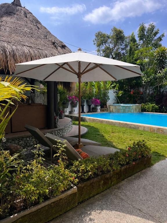 Lovina Pool The Sun - B&B Lovina
