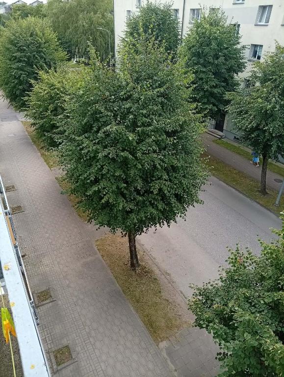 Jurmala apartment - Ferienwohnung Riga-Strand